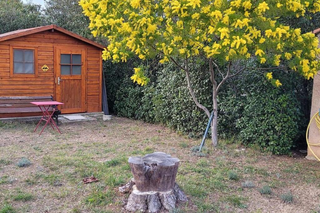 Appartement dans une villa au cœur de la Provence Trans-en-Provence Extérieur photo